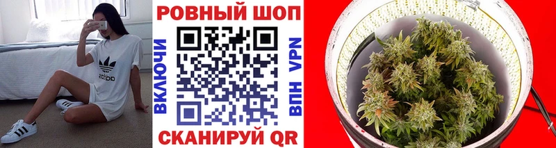 Что такое Черняховск МАРИХУАНА  Псилоцибиновые грибы  Alpha PVP  Гашиш  Cocaine  Меф 
