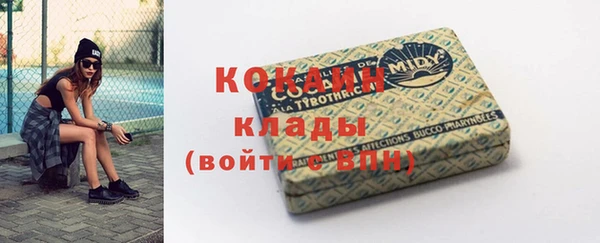 стаф Богородск