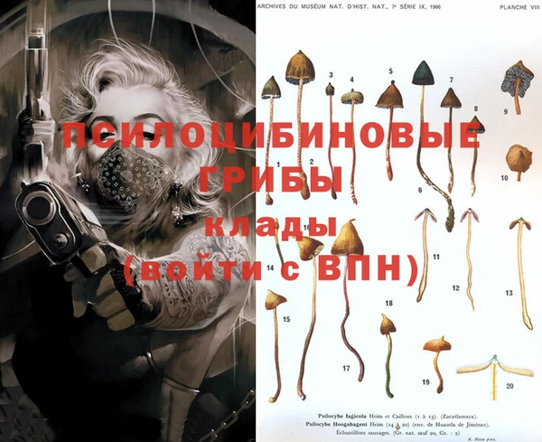 гашик Бронницы