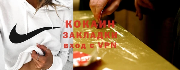 стаф Богородск
