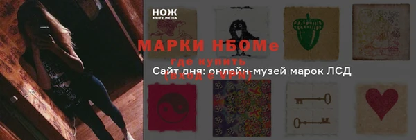 стаф Богородск