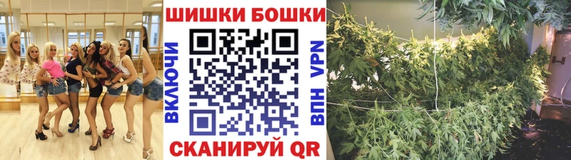 Канабис сатива  купить закладку  Черняховск 